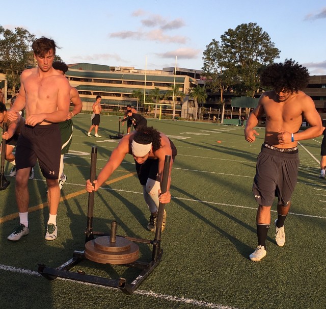 Safety Ben Scruton, middle linebacker Jahlani Tavai and outside linebacker Malachi Mageo