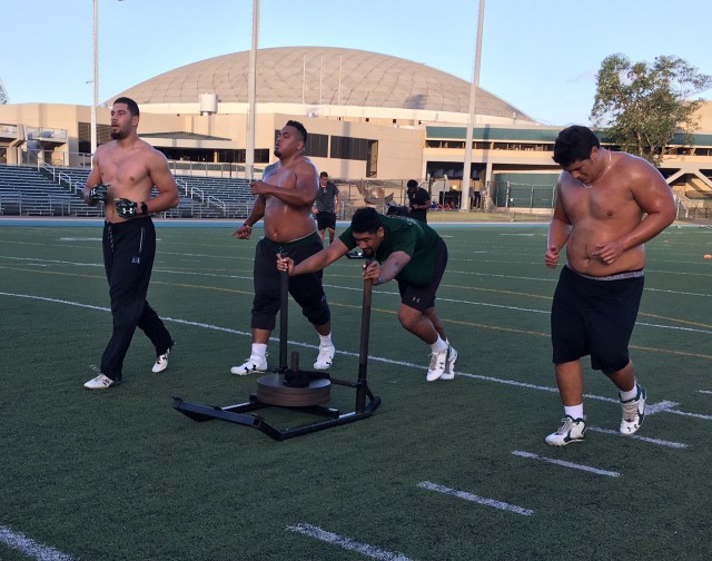 Defensive end David Manoa, nose tackle Kiko Faalologo, defensive end Meffy Koloamatangi and offensive lineman Josh Hauani‘o